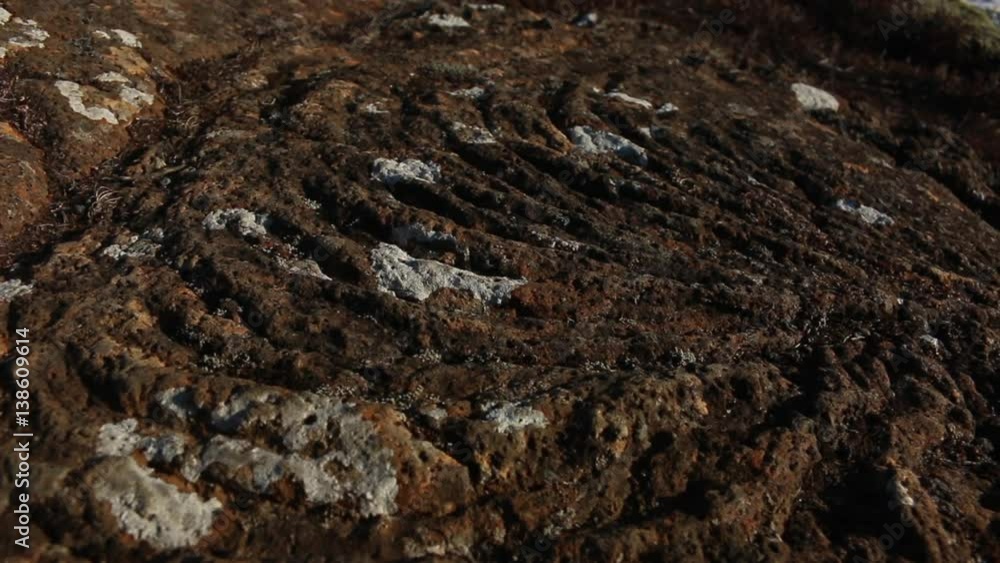 Dry cooled lava flow stone formation waves of magma in iceland Dry cooled lava flow stone formation waves of magma in iceland