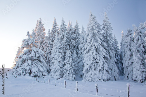 Winter am Berg © swa182