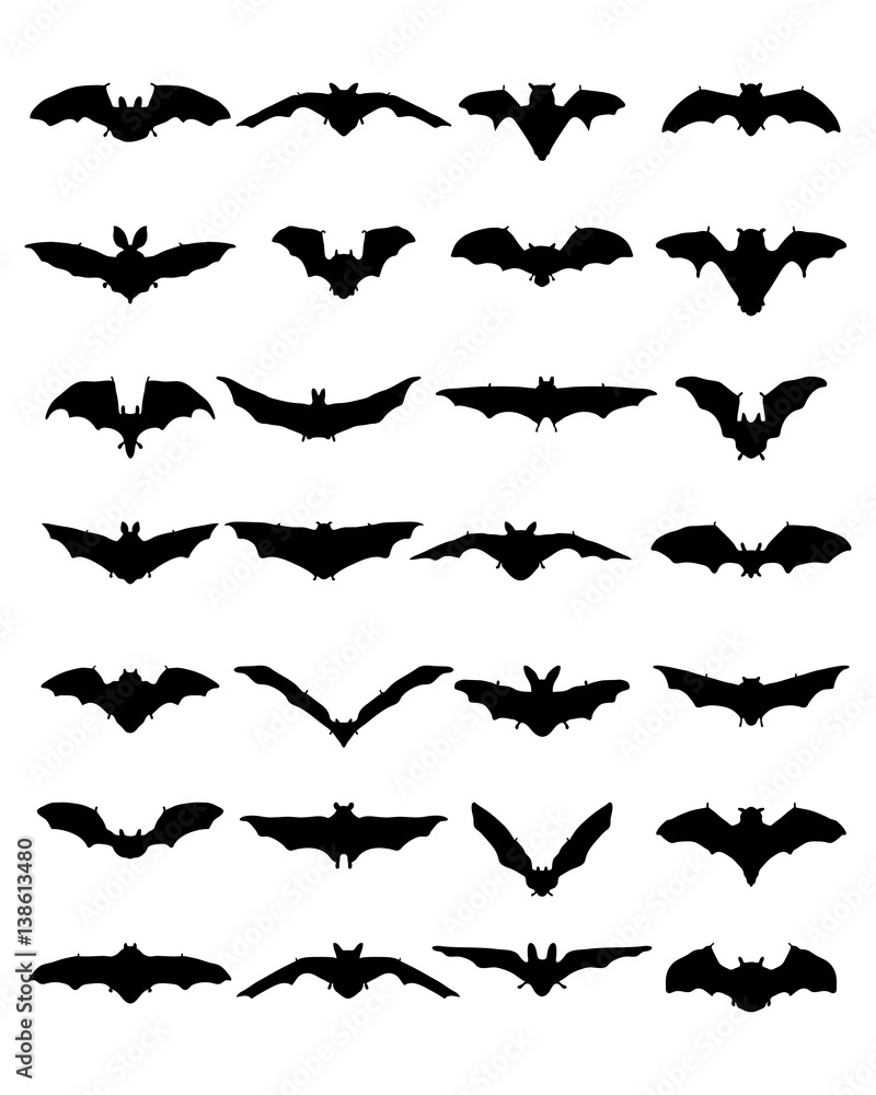 Fototapeta premium Big set of black silhouettes of bats on a white background