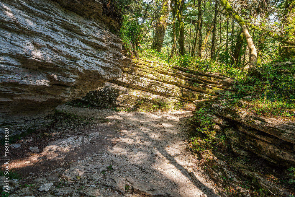 Popular tourist route in Yew-Boxwood Grove in Caucasian biosphere reserve, Khosta district of Sochi, Russia.