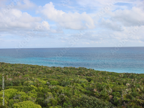 Abaco Island  Bahamas 