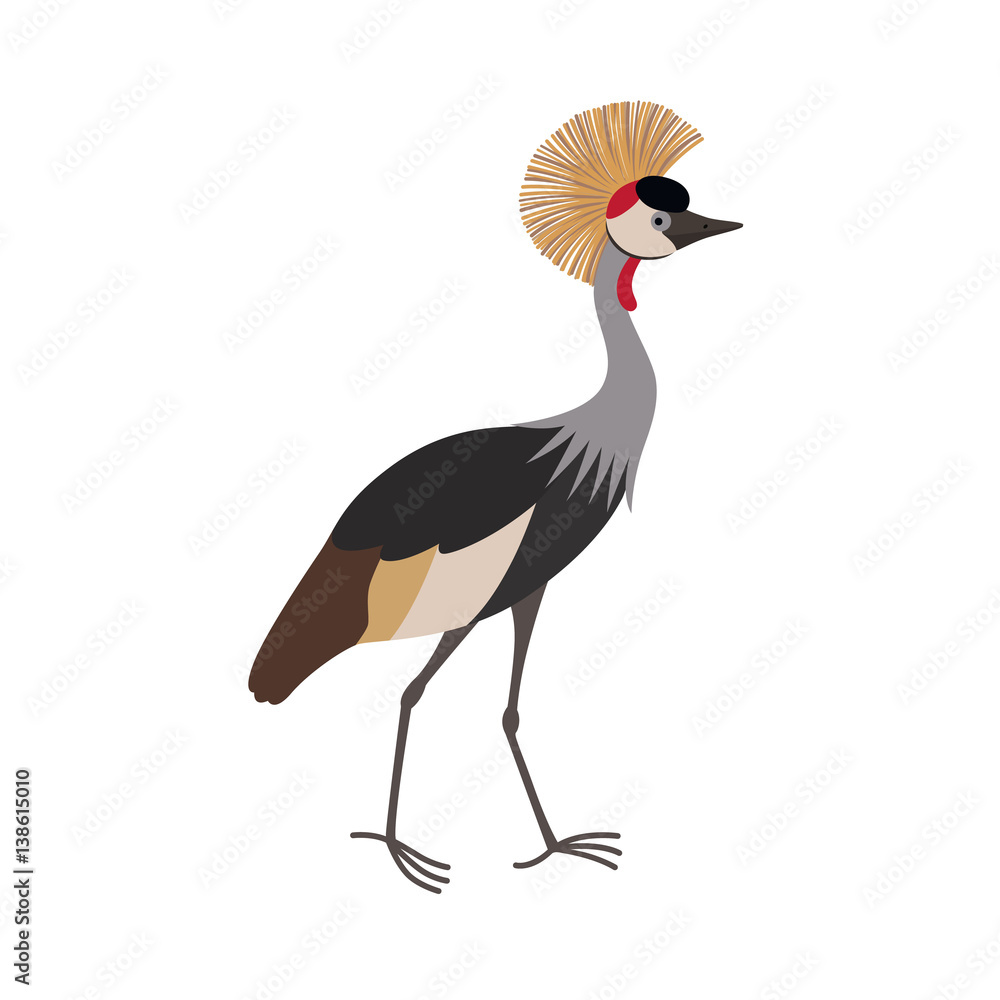 Fototapeta premium Grey crowned crane Balearica regulorum