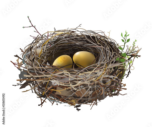 Gold eggs in Bird's Nest.
Hand drawn vector illustration of a nest with two golden eggs, surrounded by green shoots, on transparent background.
