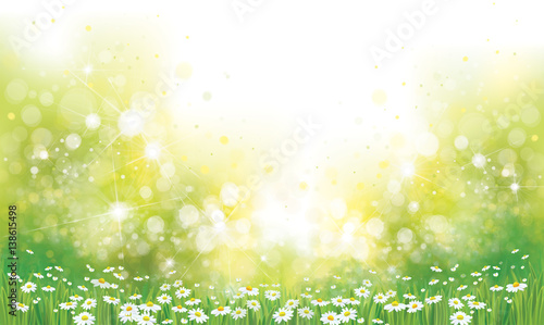 Vector summer nature  background,  blossoming flowers field.
