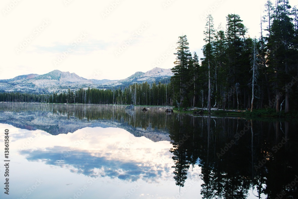 Fototapeta premium Forest Lake