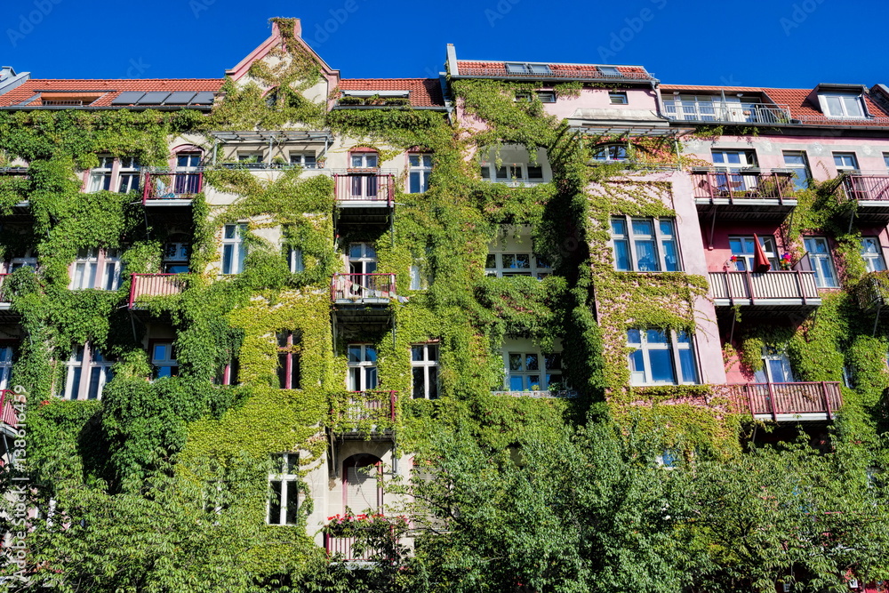 Hausbegrünung