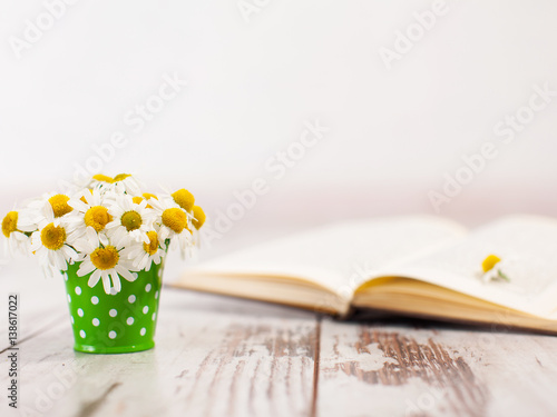 Fototapeta Naklejka Na Ścianę i Meble -  Flowers in bucket