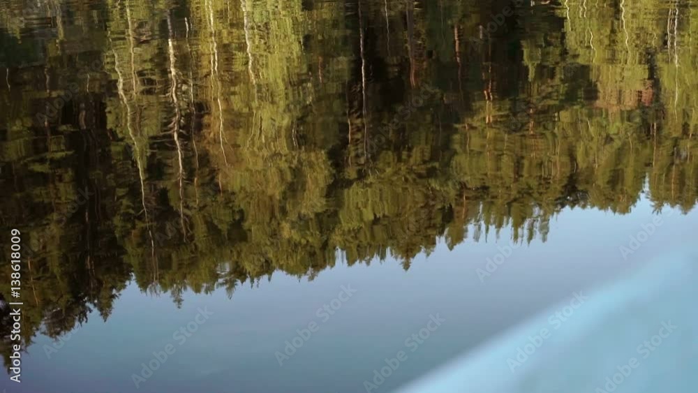Beautiful lake and forest at the evening Beautiful lake and forest at the evening