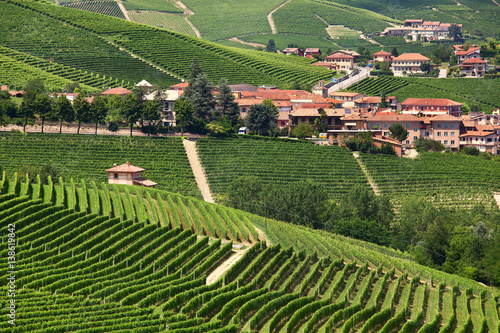 Rural houses and green vineyards of Piedmont, Italy.