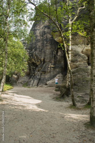 Sandstone rocks  Tisa  Czech Republic  Europe