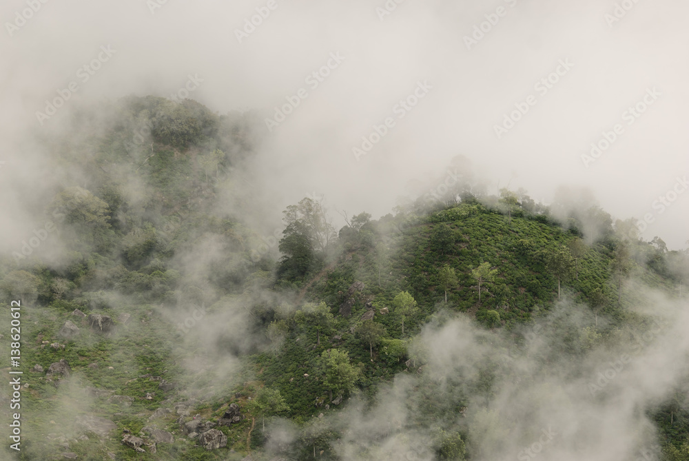 View from World's End in Horton plains national park