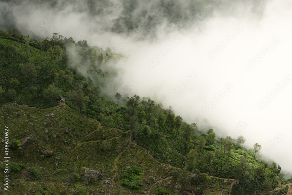 Fototapeta premium View from World's End in Horton plains national park