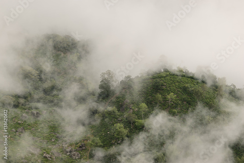 View from World's End in Horton plains national park