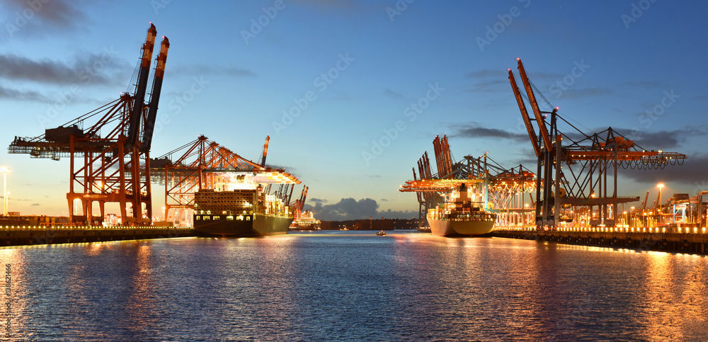 Port with cranes and cargo ships // Hafen mit Kränen und Frachtschiffen
