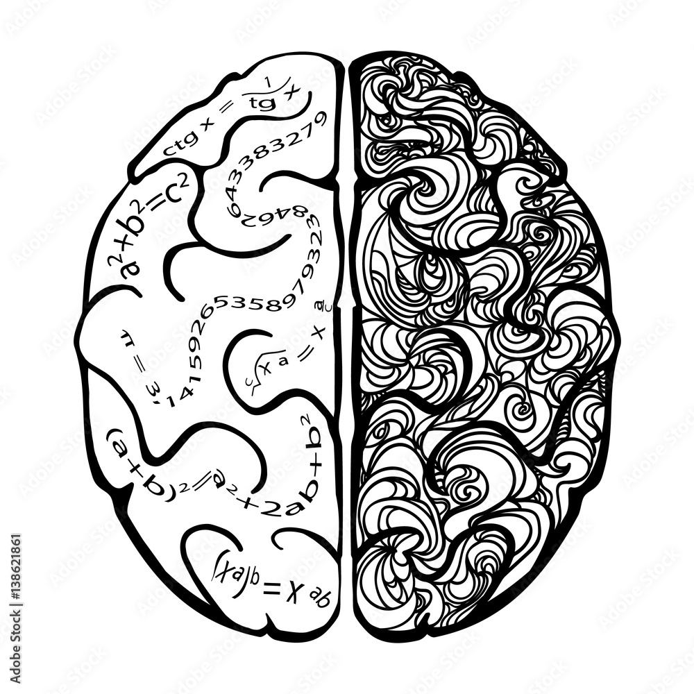 brain top view left right