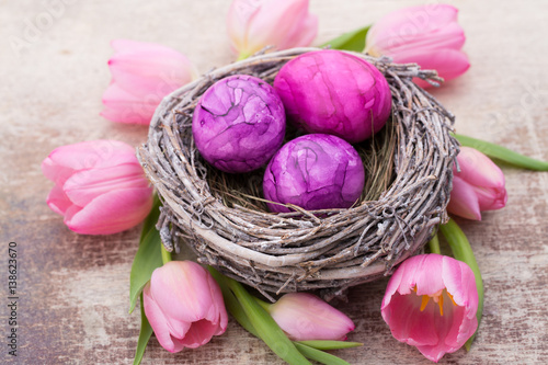 Easter eggs in the nest. Spring flowers tulips.