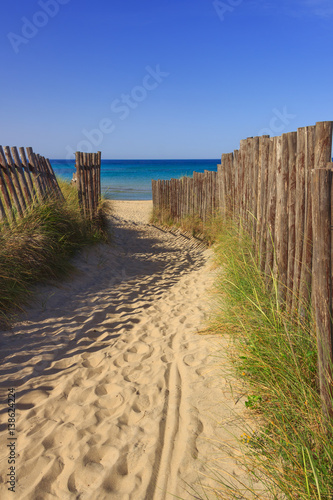 The Regional Natural Park Dune Costiere (Torre Canne): fence between sea dunes. BRINDISI (Apulia)-ITALY- The park covers the territories of Ostuni and Fasano along eight kilometers of coastline.