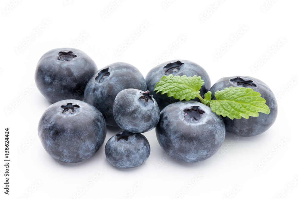 Close up of a blueberry branch isolated over white. Close up of a blueberry branch isolated over white.