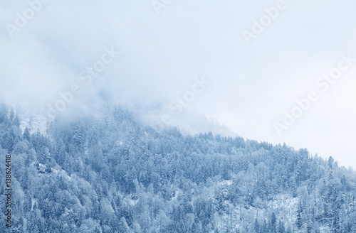 winter mountain forest in fog