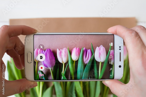Fototapeta Naklejka Na Ścianę i Meble -  female hands taking a picture of beautiful fresh tulips with smartphone