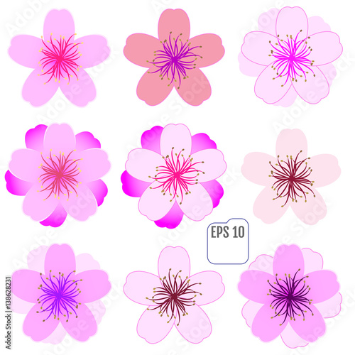 Cherry blossom icon set. Vector