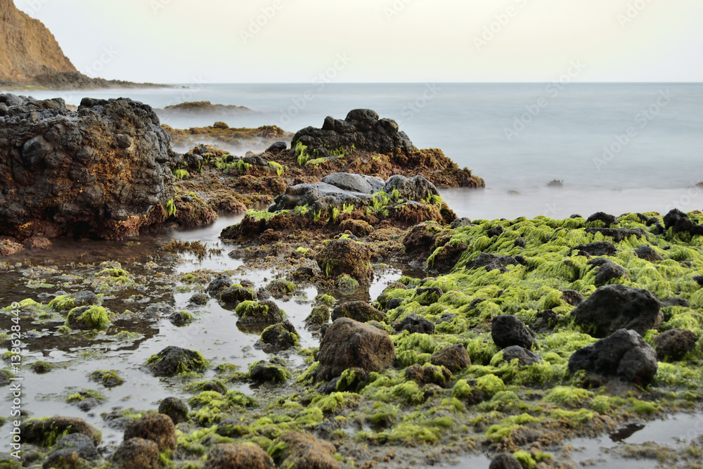 Rocas en la playa