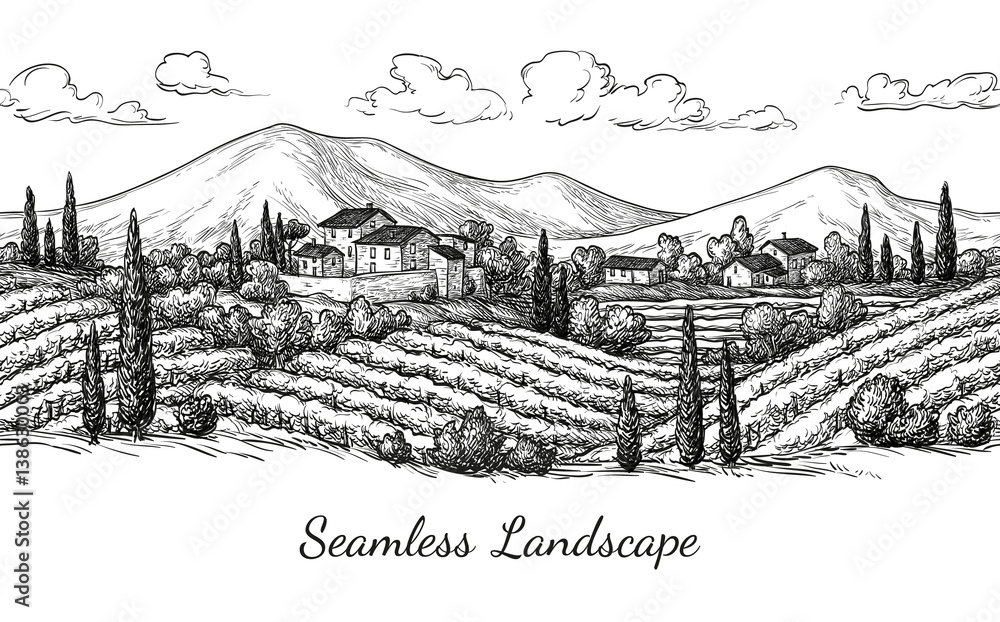 Fototapeta premium Vineyard seamless landscape.