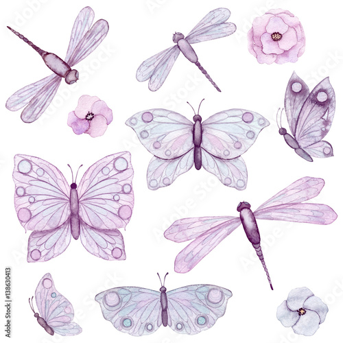 Set of Watercolor Flowers, Butterflies and Dragonflies