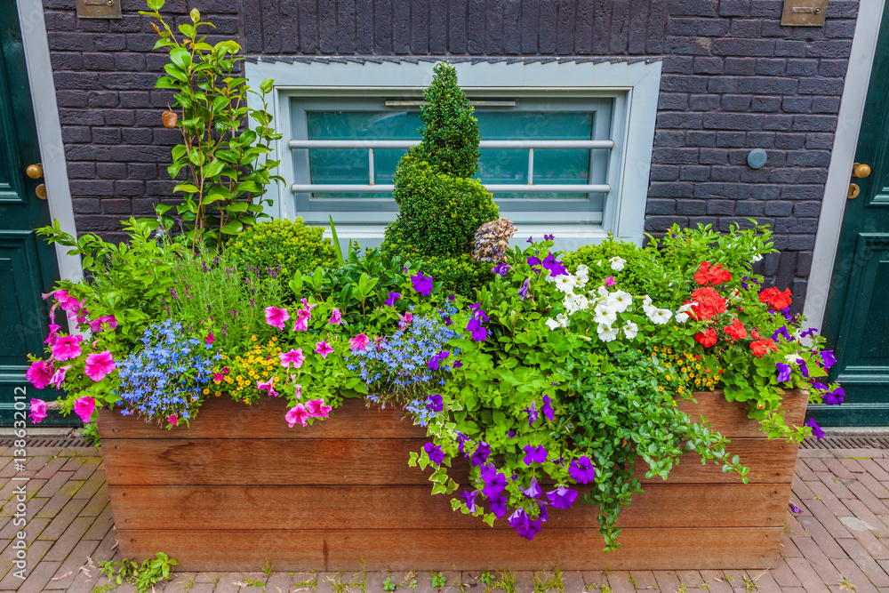 Fototapeta premium Flower bed in the street, Amsterdam