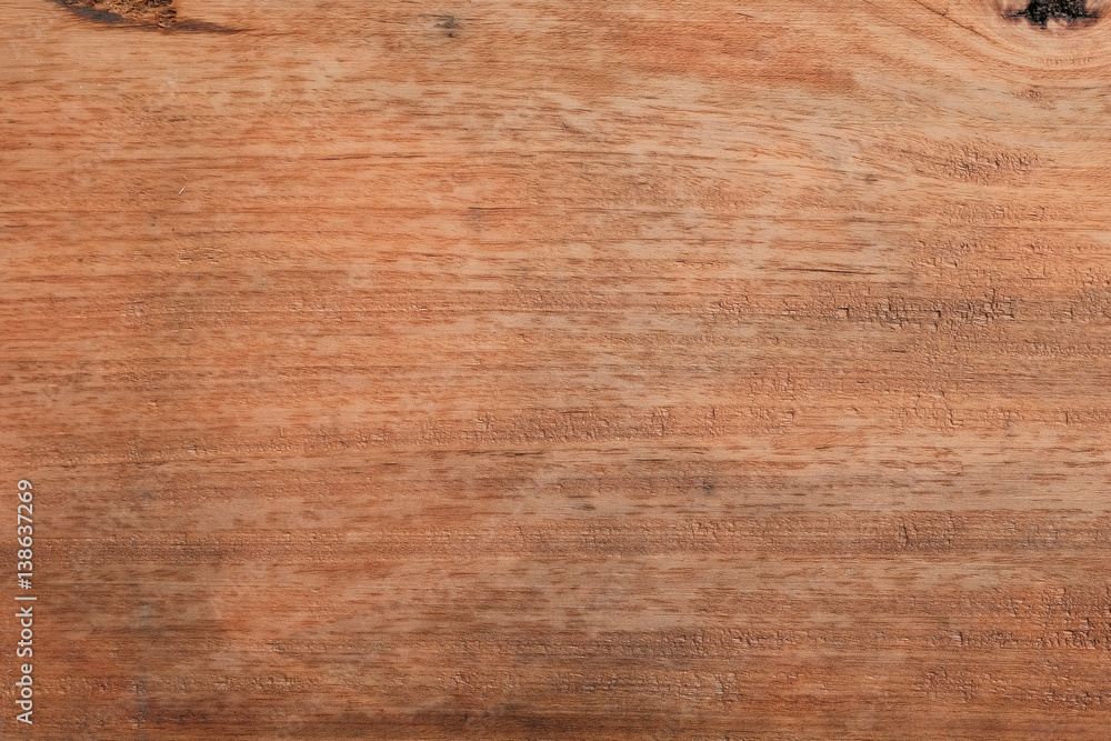 texture of bark wood use as natural background texture of bark wood use as natural background