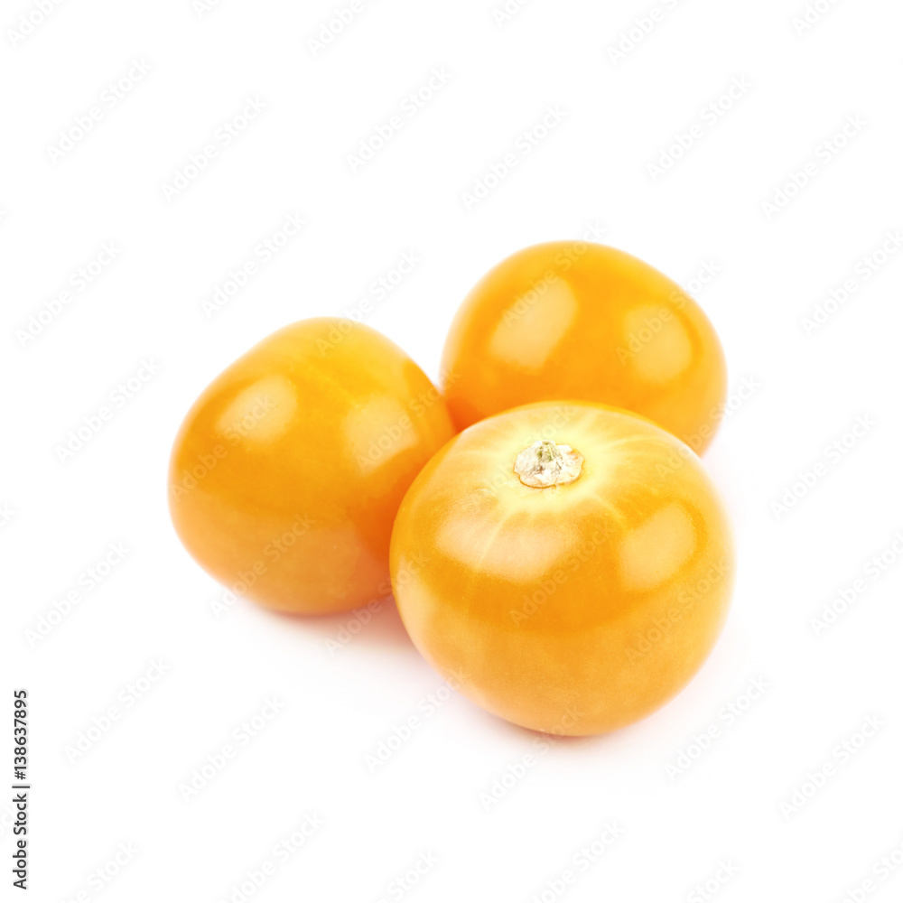 Composition of couple physalis fruits Composition of couple physalis fruits