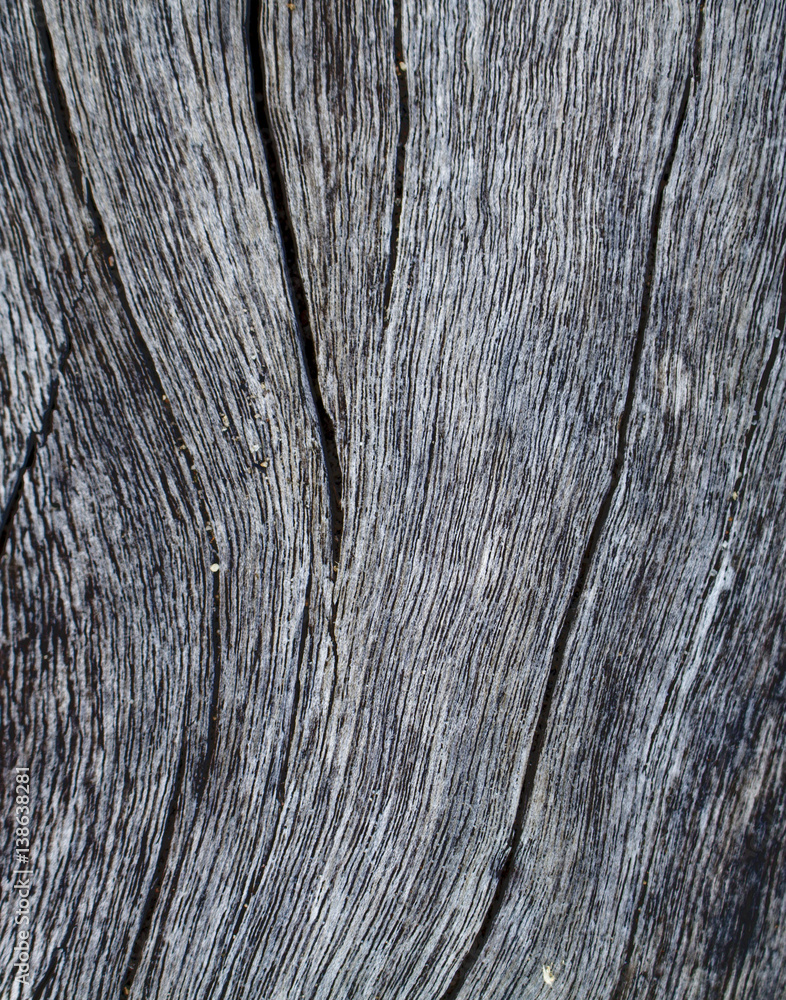 Vertical wooden texture close up photo. White and grey wood background. Vertical wooden texture close up photo. White and grey wood background.