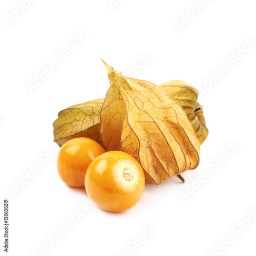 Composition of couple physalis fruits