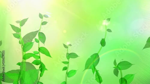 生長する植物イメージ_グリーン背景