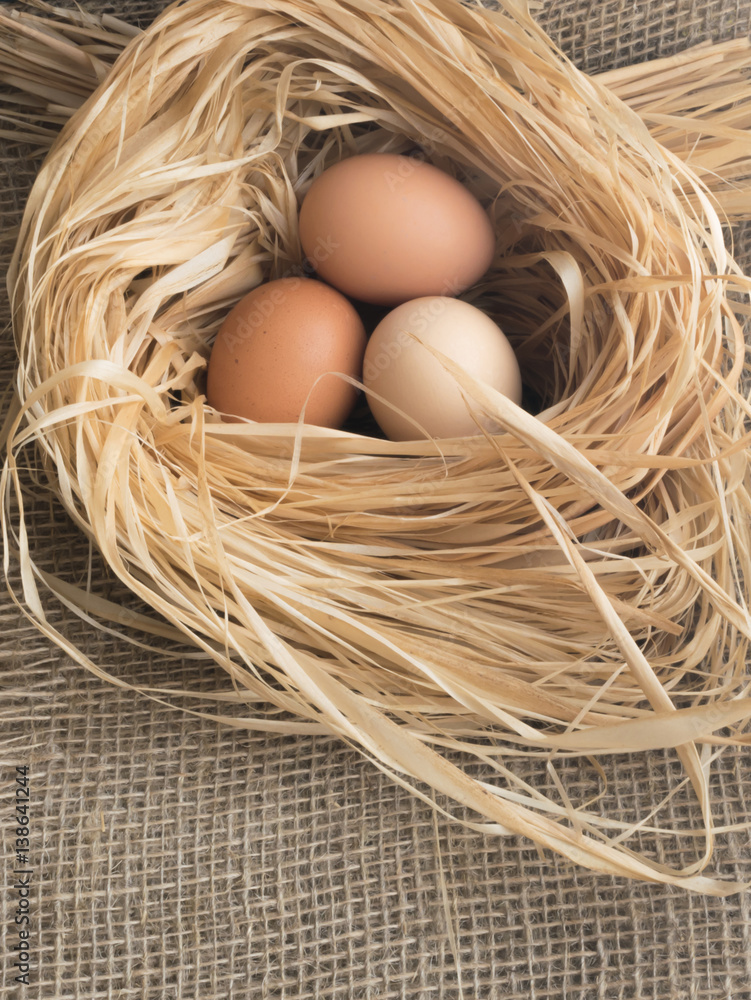 Nest of Dry Grass and Three Brown Chicken Eggs Nest of Dry Grass and Three Brown Chicken Eggs