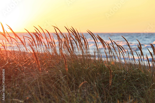 Indiana Dunes Sunset Reflecting off of Lake Michigan Waves and Sand Dune Foliage in Autumn Season