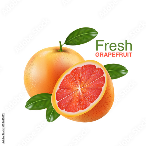 fresh grapefruit vector 