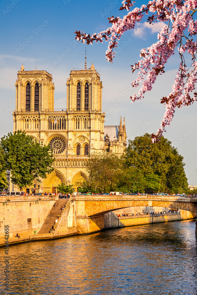 Fototapeta premium Notre Dame de Paris at spring, Paris, France