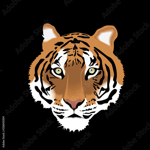 Fototapeta Naklejka Na Ścianę i Meble -  Vector Illustration of Tiger Head