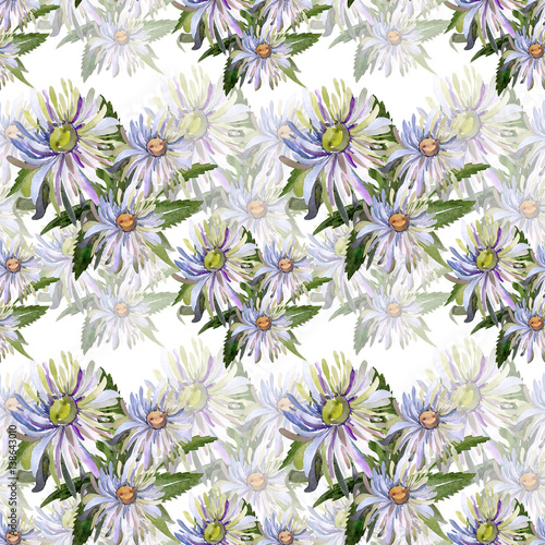 Seamless pattern of watercolor asters on a color or textural background