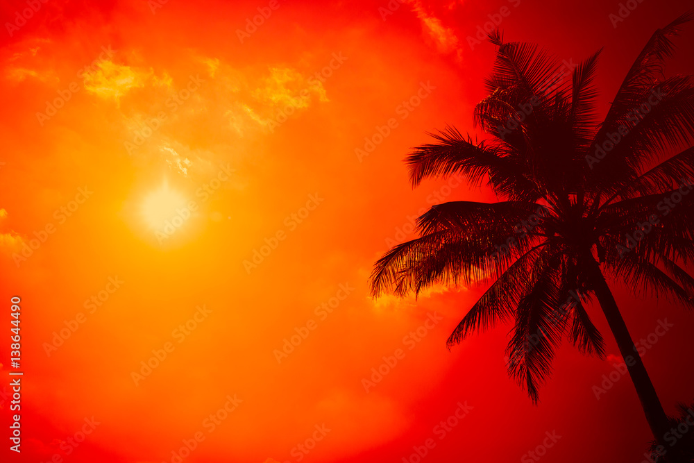summer season at the beach, silhouette palm tree with clear sunny sky with extreme hot sunshine day background.