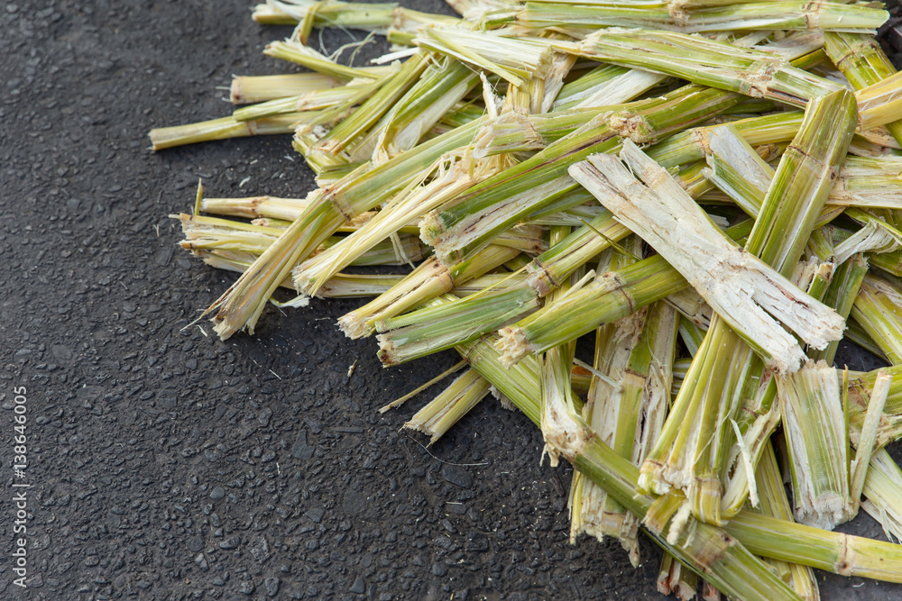 Sugarcane bagasse, nature fiber recycle for biofuel pulp and building materials.