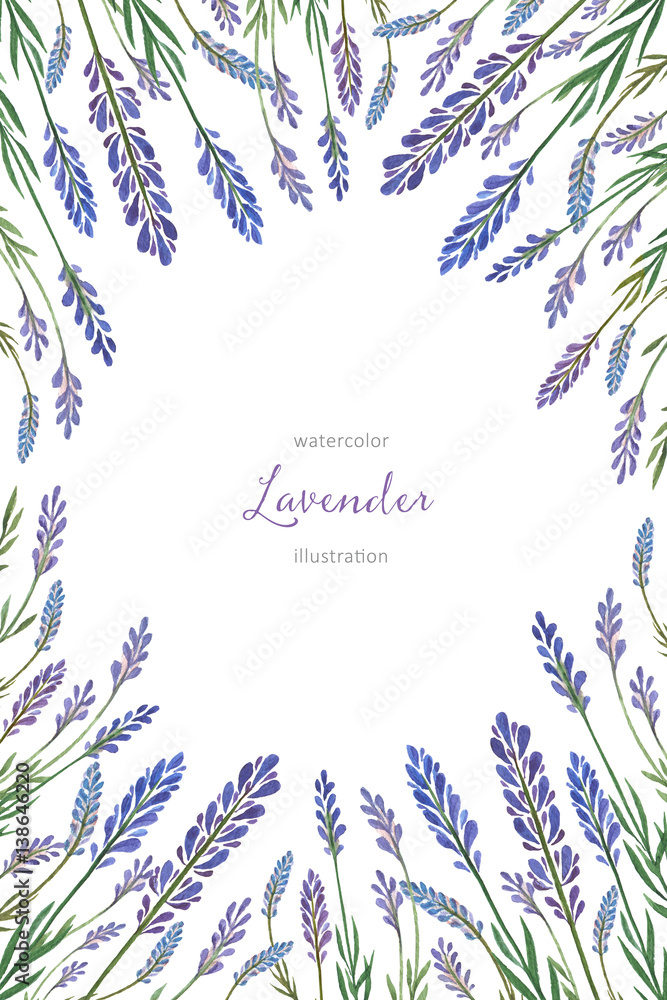Watercolor hand painted vertical card with lavender. Watercolor hand painted vertical card with lavender.