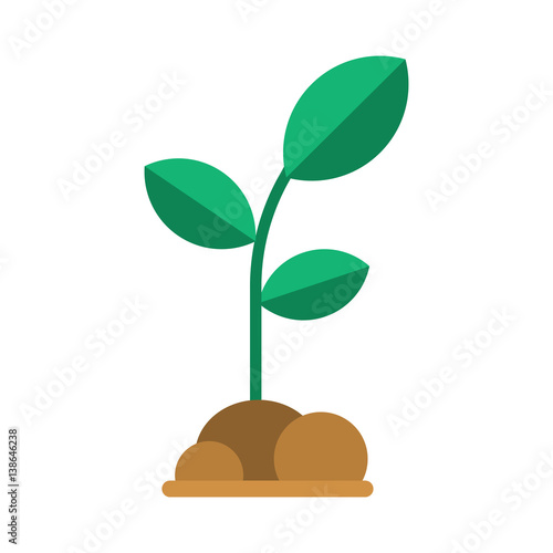 Green seedling with leaves and soil. Abstract growing plant vector illustration. Spring sprout icon in flat design. Growing and gardening symbol.