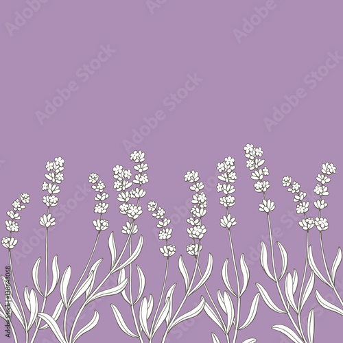 Lavender flower graphic violet sketch seamless background illustration vector