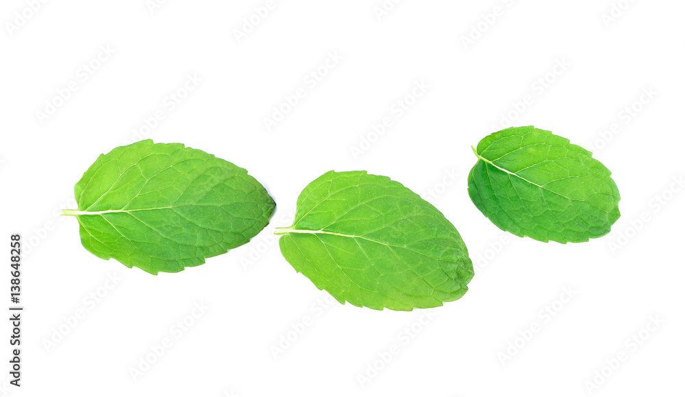 Mint leaves isolated on white background Mint leaves isolated on white background