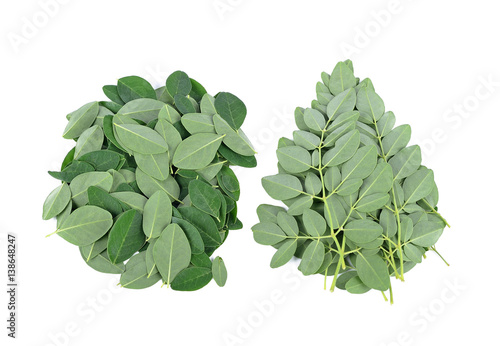 Foto Moringa oleifera leaves isolated on white background