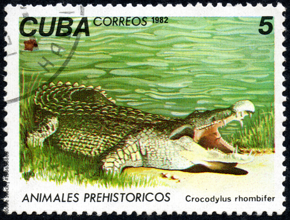 Naklejka premium UKRAINE - CIRCA 2017: A stamp printed in Cuba, shows a Cuban crocodile Crocodylus rhombifer, the series Prehistoric animals, circa 1982