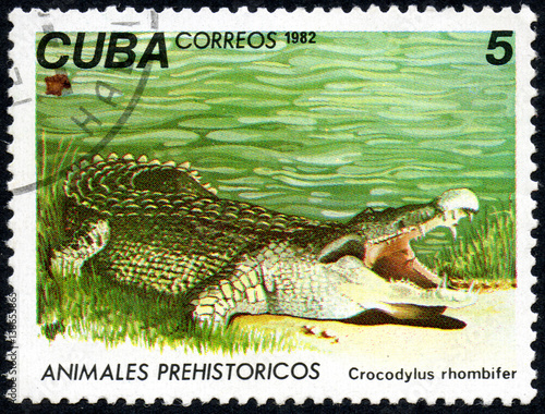 UKRAINE - CIRCA 2017: A stamp printed in Cuba, shows a Cuban crocodile Crocodylus rhombifer, the series Prehistoric animals, circa 1982