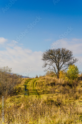 Autumn landscape  trees with colorful leaves  frost on green grass  autumn mountain in fog in the background.